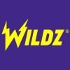 Wildz Casino Review