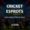 Cricket Esports – The Next Big Trend in Indian Gaming